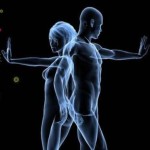 Componentele sistemului imunitar, precum si modalitati de stimulare a acestuia