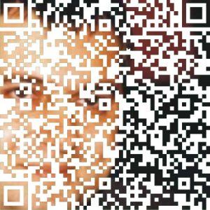 Codurile Qr