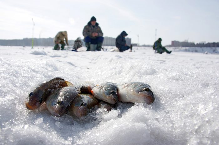pescuit iarna