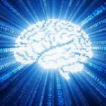Lumea digitala afecteaza creierul - Partea a II-a